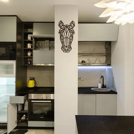 Apartman Petrovdom 52,67,205,213 In Smart In New York Concept House *